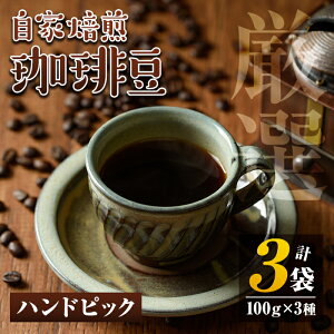yӂ邳Ɣ[Łz蓤3(v300gE100g×3) R[q[ coffee R[q[  nhsbN ݔ yH[䂤z