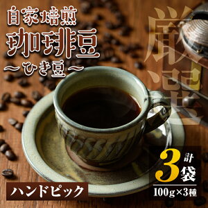yӂ邳Ɣ[ŁzЂ3(v300gE100g×3) R[q[ coffee R[q[  nhsbN ݔ yH[䂤z