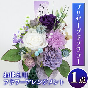 yӂ邳Ɣ[ŁzpvU[uht[AWg( 16×12×s12cm)  N ފ ~   ԁyԁz