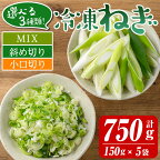 選べる3種類！冷凍カット伊佐ねぎ(計750g・150g×5袋) 鹿児島 国産 九州産 ネギ 葱 金山ねぎ 白ねぎ 深ねぎ カットネギ 冷凍 野菜 味噌汁 薬味【工房ゆう】