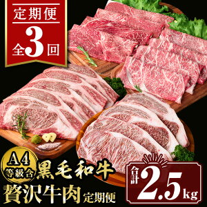 yӂ邳Ɣ[Łzy3zґ򋍓(v2.5kg)   ~ ₫ Ԃ  Ⓚ [X J^[X [XHה T[C u[X Xe[L BBQyT