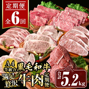 yӂ邳Ɣ[Łzy6zґ (v5.2kg)   ~ ₫ Ԃ  T[C u[X Xe[L Ⓚ J^[X [X BBQ AEghAy