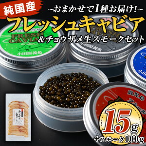 yӂ邳Ɣ[Łzqʌr܂tbVLrA(15g×1)`EUX[N(100g×1P)Zbg Y l  g ܂ EO咿 Hi Ⓚ Ⓚ Zbgyc