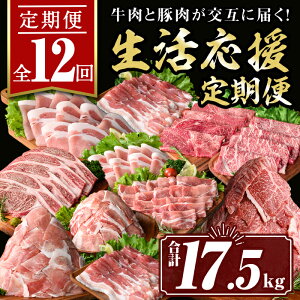 yӂ邳Ɣ[Łzy12z؁E݂ɓ͂(v17.5kg)  ؓ  ~ ₫ Ԃ XCX IĂ ؃o ؂藎Ƃ ē Ⓚ [X J^[