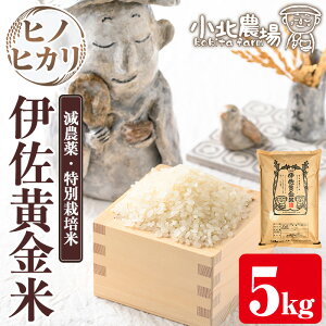 yӂ邳Ɣ[Łzsʌtk_̂ ɍāqqmqJr(5kg)  ɍ  ʍ͔| ɍ  qmqJ Ђ̂Ђ ɂ ͂ yk_z
