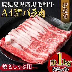 yӂ邳Ɣ[ŁzsʌtYјa A4ȏIoĂԗpI(v1kgE500g×2pbN) јa  Y B  a o o Mtg  蕨 v