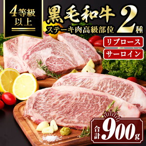 yӂ邳Ɣ[ŁzјaXe[L2qu[XET[CrHה(v900g) ^ ^pbN u[X T[C Xe[L    AEghA Hה BBQ 