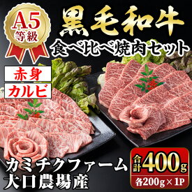 【ふるさと納税】鹿児島県(カミチクファーム 大口農場)産 黒毛和牛食べ比べ焼肉セット(合計400g・赤身・カルビ各200g×1パック) 黒毛和牛 焼肉 食べ比べ セット 和牛 A5 ランク 雌牛 霜降り 赤身 肩 カルビ モモ バラ 牛肉 アウトドア 小分け 冷凍 【お肉の直売所 伊佐店】