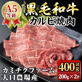 【ふるさと納税】鹿児島県(カミチクファーム 大口農場)産 黒毛和牛カルビ焼肉(計400g・200g×2パック) 黒毛和牛 カルビ 焼肉 和牛 国産牛 高級肉 A5 ランク 雌牛 霜降り 旨味 口どけ 牛肉 焼肉用 BBQ バーベキュー アウトドア 冷凍 小分け 【お肉の直売所 伊佐店】