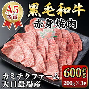 yӂ邳Ɣ[Łz(J~`Nt@[ _)Y јaԐgē(v600gE200g×3pbN) јa Ԑg ē a Y  A5 N   ēp BBQ o[xL[ AEg