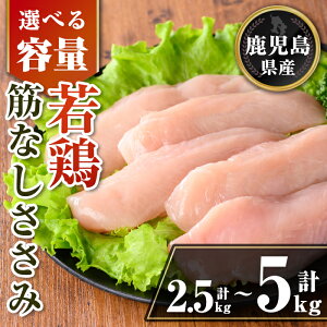yӂ邳Ɣ[ŁzqeʂIׂrY {؂Ȃ݃Zbg (v2.5kg or v5kg) Y  {   TT~ ؂Ȃ ^ ^pbN T_ Ⓚ yTRINITYz