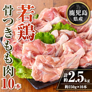 yӂ邳Ɣ[ŁzY {t10{Zbg (v2.5kgE250g×10{) Y {     ύ [Xg g ^ ^pbN AEghA BBQ Ⓚ y