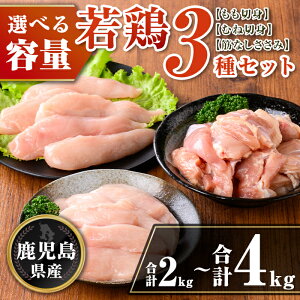 yӂ邳Ɣ[ŁzqeʂIׂrY {3Zbg(v2kg or v4kg) Y  { { {    ނ ނ˓ ؐg Jbg  TT~ ؂Ȃ Zbg l