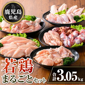 yӂ邳Ɣ[ŁzY {܂邲ƃZbg(v3.05kg) Y  ^pbN {    ނ˓ l   TT~ ؂Ȃ   H H H 