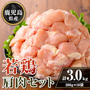 yӂ邳Ɣ[ŁzY {Zbg (v3kgE300g×10) Y  ^pbN {   󏭕 g ē Ⓚ yTRINITYz