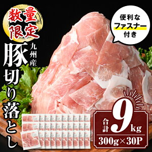 yӂ邳Ɣ[ŁzyFʌzqs\tI2026N2菇rBY ؓ؂藎Ƃ (v9.0kg) Y ^ ^pbN t@Xi[  ؗƂ Ԃɂ  