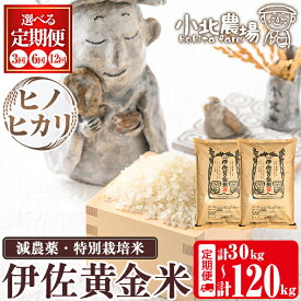 【ふるさと納税】《数量限定・選べる配送回数》令和7年産 小北農場のお米 伊佐黄金米〈ヒノヒカリ〉(5kg×2袋×3回/6回/12回) 鹿児島 伊佐 お米 30kg 60kg 120kg 定期便 3回 6回 12回 特別栽培米 伊佐米 白米 ヒノヒカリ ひのひかり ごはん 【小北農場】