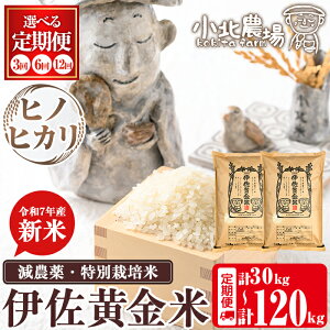 yӂ邳Ɣ[ŁzsʌEIׂz񐔁tߘa7NY k_̐V ɍāqqmqJr(5kg×2×3/6/12)  ɍ V  30kg 60kg 120kg  3 6 12 ʍ͔| 