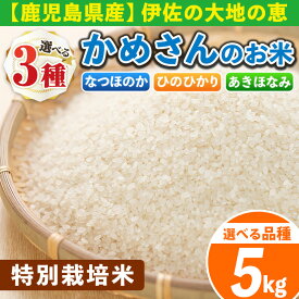 【ふるさと納税】《選べる品種》かめさんのお米(5kg・ひのひかりorなつほのかorあきほなみ) 伊佐米 白米 精米 ヒノヒカリ ナツホノカ アキホナミ ひのひかり なつほのか あきほなみ 特別栽培米【Farm-K】