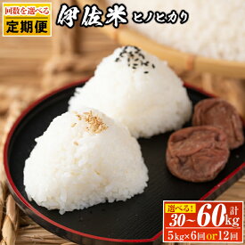 【ふるさと納税】＜回数を選べる！＞【定期便】鹿児島県産！伊佐米ヒノヒカリ(計30kg or 60kg) 薩摩 北の郷 特産品 お米 白米 精米 ひのひかり【神薗商店】【J5-02・E3-01】