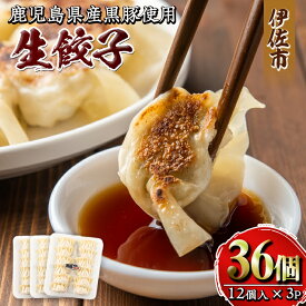 【ふるさと納税】100年以上続く精肉店の黒豚餃子(計36個・12個入×3P)鹿児島 手作り 生餃子 ギョウザ 黒豚 豚肉 冷凍食品 おかず おつまみ 惣菜 小分け 焼くだけ 簡単調理 冷凍便【増元精肉店】