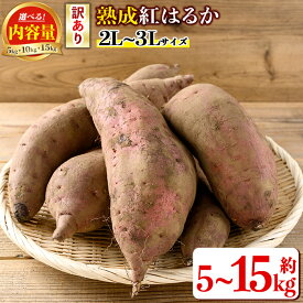 【ふるさと納税】<内容量が選べる!>《訳あり》熟成紅はるか(約5kg~15kg・2L〜3Lサイズ混合) 訳あり さつまいも 紅はるか 鹿児島 生芋 完熟 長期熟成 土付き べにはるか サツマイモ 焼き芋に 【いさ工房】