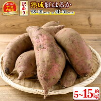 楽天市場】さつまいも 15kgの通販