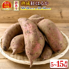 【ふるさと納税】＜サイズ・内容量が選べる！＞《訳あり》熟成紅はるか(約5kg～15kg・SS〜2Lサイズ混合 or 2L〜3Lサイズ混合) 訳あり さつまいも 紅はるか 鹿児島 生芋 完熟 長期熟成 土付き べにはるか サツマイモ 焼き芋に 【いさ工房】