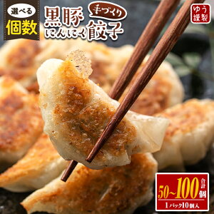 yӂ邳Ɣ[ŁzqIׂIrÂ荕؂ɂɂLq(10×5P(v50)or10×10P(v100)) Lq̃^tI  Lq MEU  ⓀHi  
