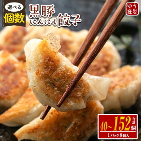 【ふるさと納税】＜2026年2月発送分(2月中に発送)＞〈個数を選べる！〉黒豚にんにく餃子(1パック8個入り・計40個 or 80個 or 152個) 特製餃子のタレ付き！鹿児島 生餃子 ギョウザ 黒豚 冷凍食品 おかず おつまみ 惣菜 小分け 簡単調理【工房ゆう】