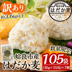yӂ邳Ɣ[Łzs󂠂EʌtǎsY͂35g×105(v3.6kg)Y ǎs  ͂ ͂  H@  퉷 퉷ۑ y|VގYƁz