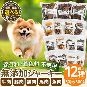 yӂ邳Ɣ[ŁzsށEeʂIׂtۑEF sgppYW[L[(50g or 300gE3ցE6ցE12)   { n  W[L[  hbO y