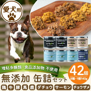 yӂ邳Ɣ[ŁzSށEHiYsgppYʋlZbg8(140g×42){  ؓ n _`E   p t[h   hbO ybg a GT  ͂ 