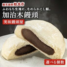 【ふるさと納税】《選べる個数》1823年創業「美坂屋」 加治木まんじゅうセット(10個・20個) 酒まんじゅう 和菓子 まんじゅう 饅頭 加治木饅頭 手づくり お菓子 おやつ スイーツ デザート お茶請け お茶菓子 郷土菓子【姶良市特産品協会】