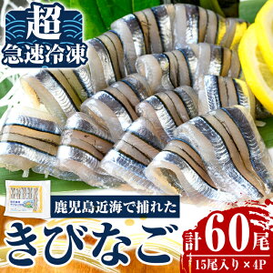 yӂ邳Ɣ[Łz߂ꂽăLriŜhg(15×4P) Y тȂ LriS hg  hg ⓀyCNCz