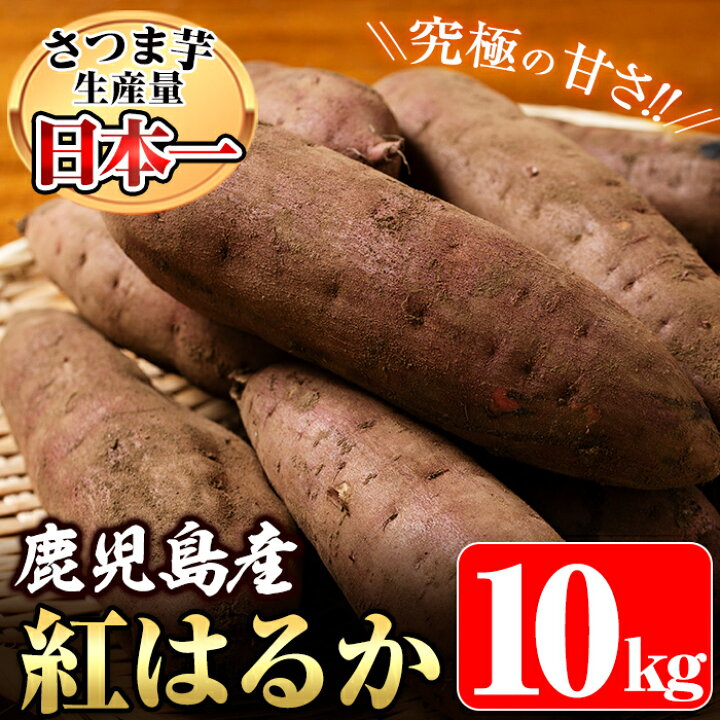 即出荷 キャッサバ 日曜日 10kg B級品 野菜