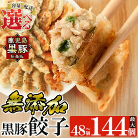 【ふるさと納税】＜容量・定期便が選べる＞鹿児島黒豚「短鼻豚」無添加餃子セット(48個・96個・3回定期便)国産 豚肉 野菜 ぎょうざ ギョーザ ギョウザ 惣菜 おかず 冷凍 安心【鹿児島ますや】