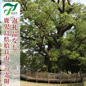 yӂ邳Ɣ[ŁzԗiȂ⎭ǎsւ̊񕍁yǎsz