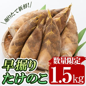 yӂ邳Ɣ[Łzs\tI2025N12{`2026N2̊Ԃɔ\聄x(1.5kg)Y x ̂ ^PmR  |̎qyRЁz