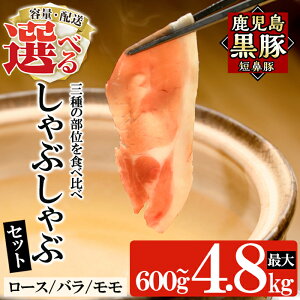 yӂ邳Ɣ[ŁzeʁEւIׂ遄؁uZ@؁vԂԃZbgv600g`4.8kg([XEoE) Y    ؓ  XCX Ԃ Zbg 