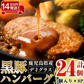【ふるさと納税】鹿児島県産黒豚ハンバーグ 計24個 (210g(3個入り)×8パック) ハンバーグ デミグラスソース デミソース 国産 鹿児島県産 肉 豚 豚肉 かごしま黒豚さつま お弁当 惣菜 総菜 冷凍ハンバーグ おかず 温めるだけ 湯煎 簡単 冷凍 小分け【AKR Food Company】