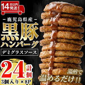 【ふるさと納税】＜年内発送＞ 鹿児島県産黒豚ハンバーグ 計24個 (210g(3個入)×8P) ハンバーグ デミグラスソース デミソース 国産 肉 豚 豚肉 かごしま黒豚さつま お弁当 惣菜 総菜 冷凍ハンバーグ 温めるだけ 湯煎 簡単 小分け【AKR Food Company】
