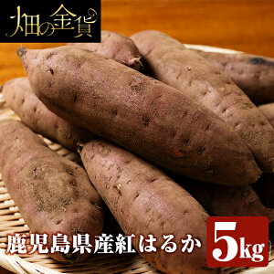さつまいも 生 イモ類の人気商品 通販 価格比較 価格 Com