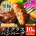 「かごしま黒豚さつま」デミグラスハンバーグ1.5kg(150g×10パック)ハンバーグ デミソース 国産 鹿児島県産 肉 豚 豚肉 総菜 冷凍ハンバーグ おかず 温めるだけ 湯煎 簡単 冷凍 個包装 小分け 一人暮らし【AKR Food Company】