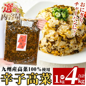 【ふるさと納税】《選べる内容量》九州産辛子高菜(1kg・4kg) 国産 九州産 たかな 漬物 漬け物 ご飯のお供 おかず おつまみ おにぎり 常温 常温保存【九州新進】