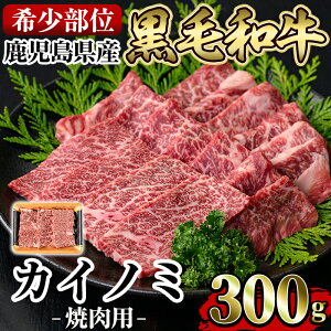 yӂ邳Ɣ[Łzs󏭕ʁtYјaJCm~ē(300g)Y Y    JCm~ ēp XCX 󏭕 _炩 Ⓚy{Yz
