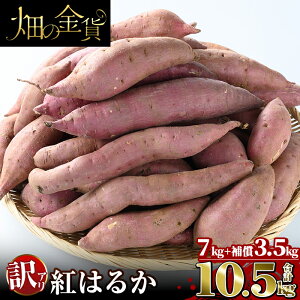yӂ邳Ɣ[Łzy930tIzs\tI2025N12{ȍ~\聄s󂠂t̋݁E󂠂g͂邩7kgƕ⏞3.5kg v10.5kg()Y ǎs ܂ 