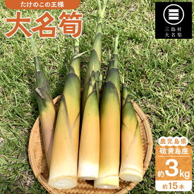 【ふるさと納税】【2026年お届け】大名筍 3kg ( 約15本 ) ( 硫黄島産 )～2026年5月初旬以降順次発送予定～ | 先行受付 アク抜き不要 筍の王様 高級食材 絶品 たけのこ タケノコ 筍 竹の子 野菜 やさい 山菜 人気 送料無料 鹿児島県 鹿児島 九州