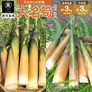 yӂ邳Ɣ[Łzy2026N͂z喼 Hה Zbg v6kg@( Y 3kg  |Y 3kg ) |  ̂ |̎q t R  H 5{蔭Jn