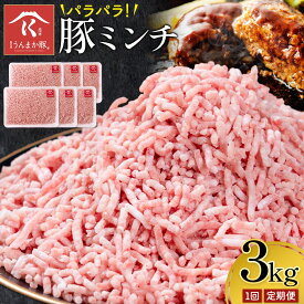 【ふるさと納税】鹿児島 うんまか 豚ミンチ 計3kg 500g×6P 選べる回数 1回 3ヶ月定期便 隔月定期便 株式会社寺師《出荷時期をお選びください》鹿児島県 さつま町 豚肉 ミンチ 肉 挽肉 国産 冷凍便 小分け
